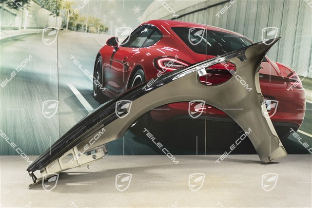 Wing, a little damaged, R