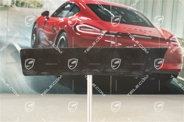 Rubber lip, 40 Years 911/C4S/Turbo, R