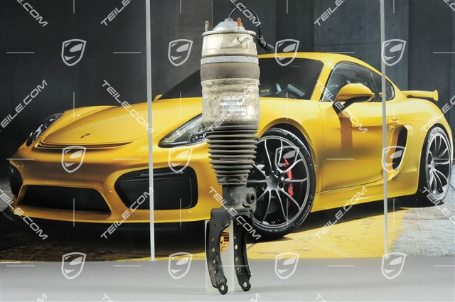 Federbein komplett, 3.0L 245KW Hybrid / V8 Diesel 4.2L 283KW / V8 Turbo 4.8L 382KW / V8 Turbo S 419KW Federbein komplett, 3.0L 245KW Hybrid / V8 Diesel 4.2L 283KW / V8 Turbo 4.8L 382KW / V8 Turbo S 419KW