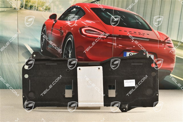 Underbody cover / protection, rear