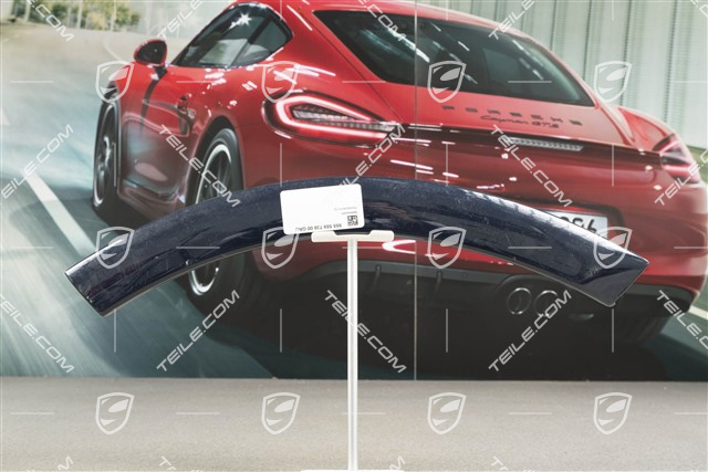 Osłona koła, drzwi, tył, lakierowana, R