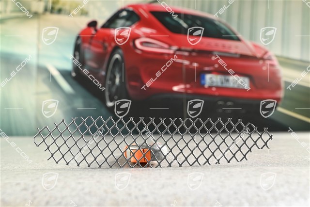 911 R / GT3, Luftauslassgitter seitlich, R 911 R / GT3, Luftauslassgitter seitlich, R