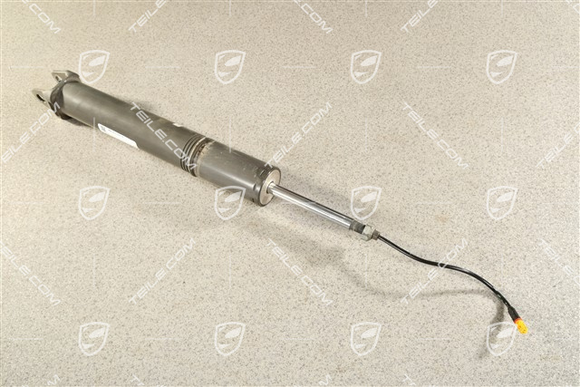 Stossdämpfer / Schwingungsdämpfer, HA, Turbo, L=R