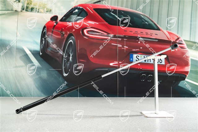 Siłownik gazowy tylnej szyby / pokrywy bagażnika, L