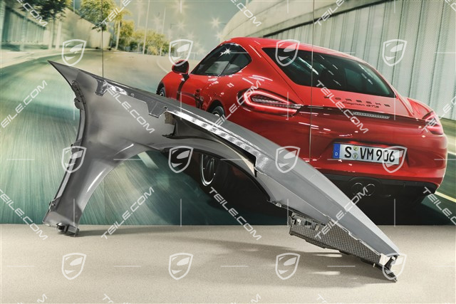 GT4 RS/Spyder RS Fender / Wing, L