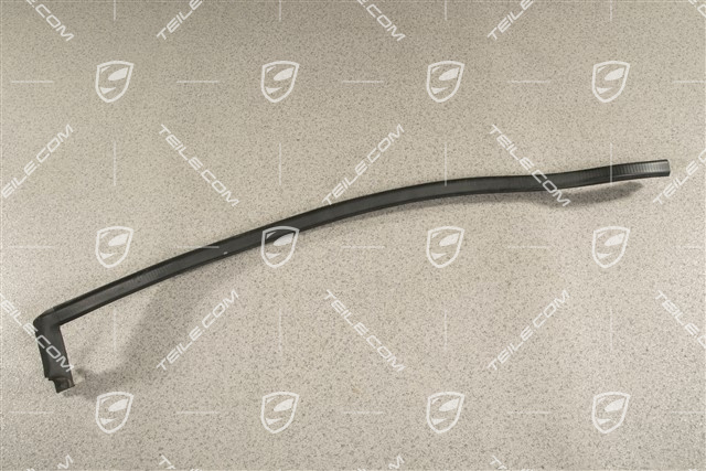 Türdichtung, aussen, hinten, L