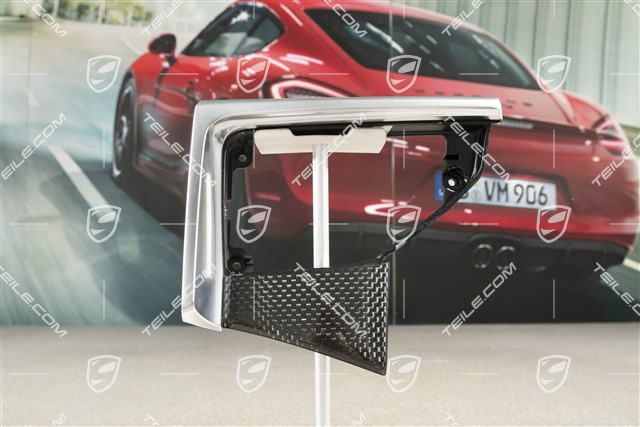 Moulding, Driver's side, Inner, Carbon, LL