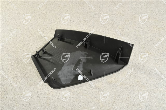 Türverkleidung, vorn, Blende, Einsatz, Schwarz, R