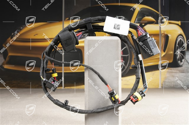 Wiring harness, Coupe
