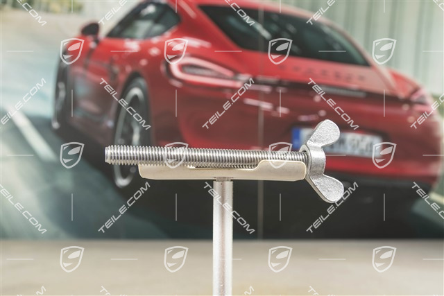 Wing screw