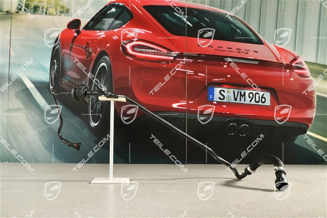 Vent line, tank vent