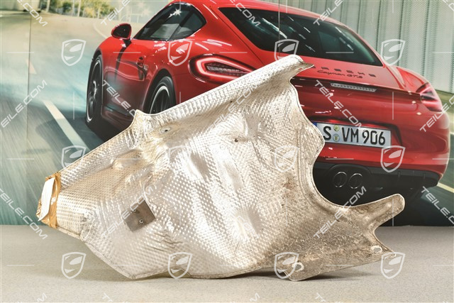 Heat protection / shield, lateral, C2 / C4 / GTS, R