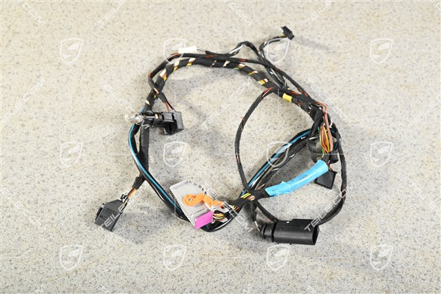 Wiązka elektryczna, drzwi kierowcy, L