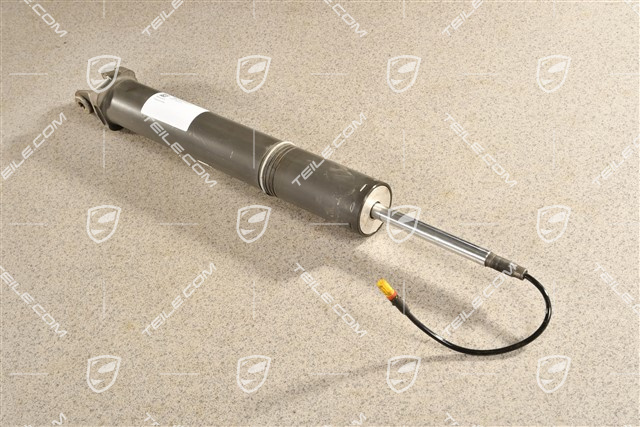 Stossdämpfer / Schwingungsdämpfer, HA, L=R