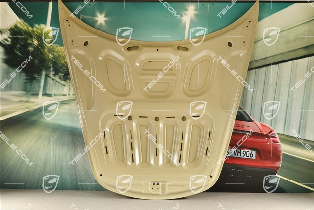 Front lid (damaged)