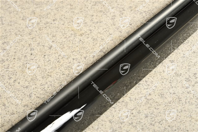 Zierleiste Türschacht, inkl. Dichtung, Hinten, Hochglanz Schwarz, L