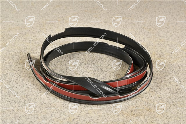 Coupe, Carbon-Dach Dichtung, R