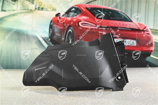 Targa, Blenda tapicerki tylnej, R