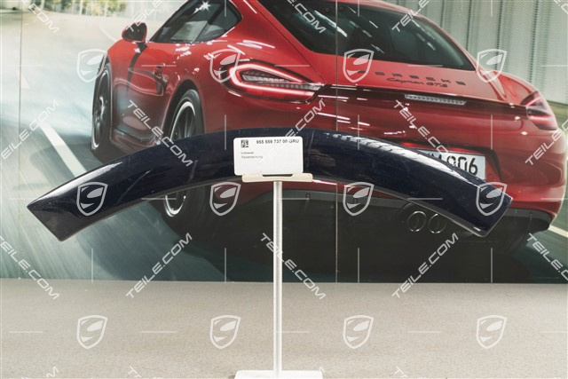 Osłona koła, drzwi, tył, lakierowana, L