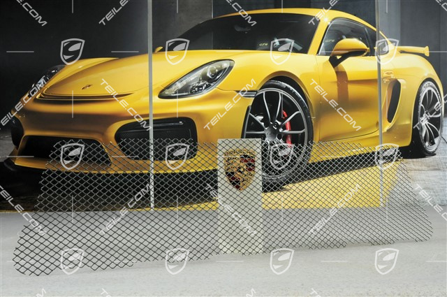 Ventilation grille, centre Ventilation grille, centre