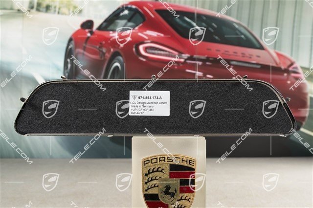 Blende, Einstiegleiste, Hinten, Carbon