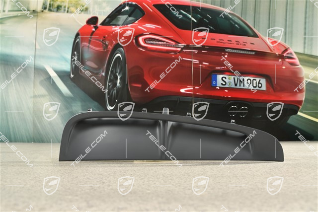 Fender trim cover, R