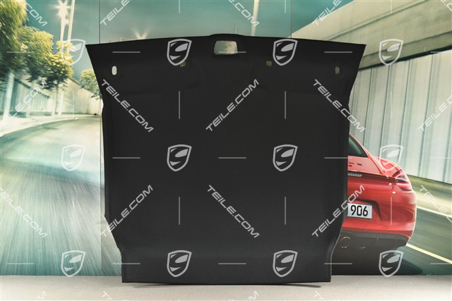 Dachverkleidung Stoff, schwarz