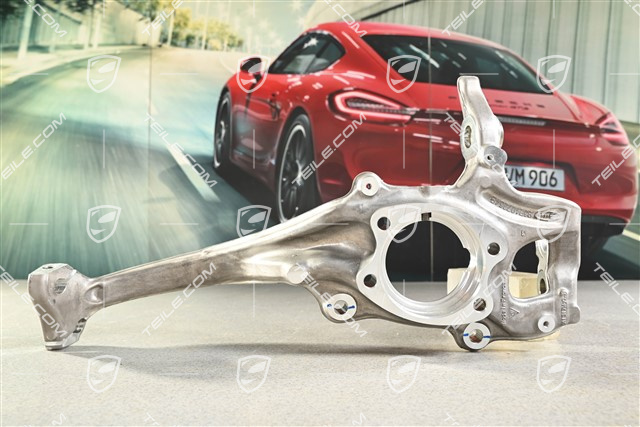 Radträger / Radtraeger, Schwenklager, VA, R