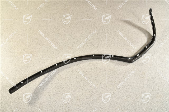 Türdichtung, aussen, hinten, R