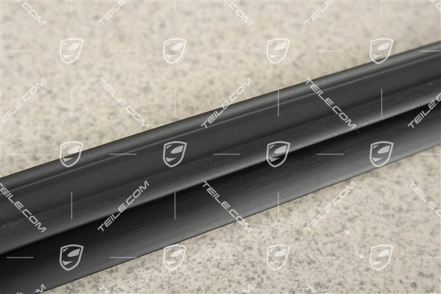 Tür Dichtung hinten, unten, L