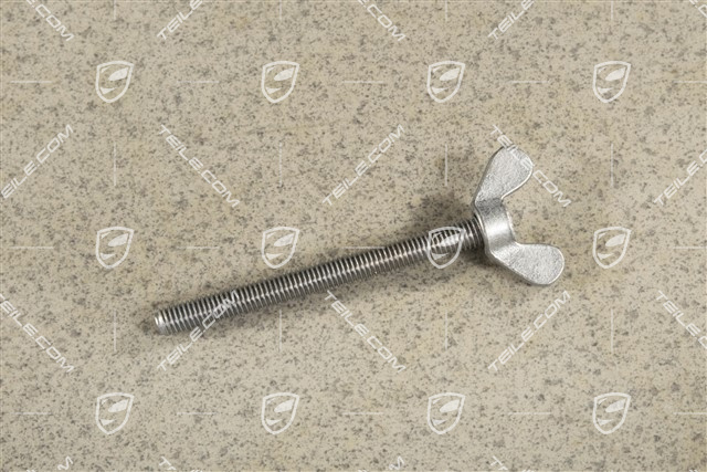 Wing screw