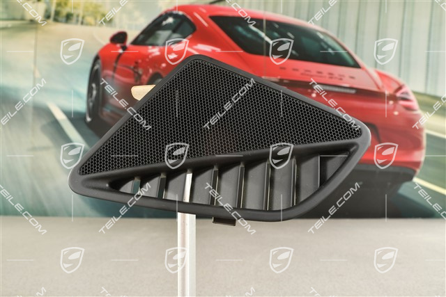 Dashboard cover trim for speaker, Black, R