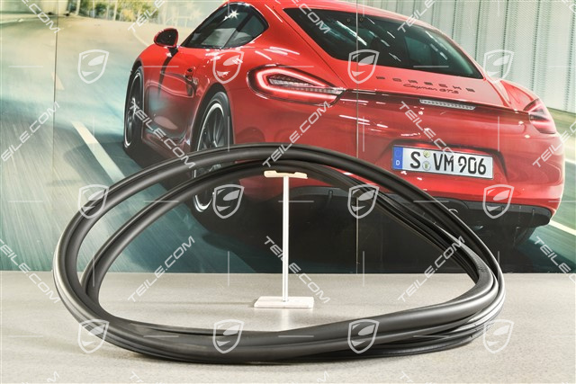 Türdichtung hinten, Innen, L=R