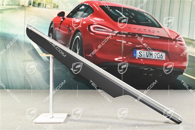 Zierleiste für Türverkleidung, hinten, Schwarz, L