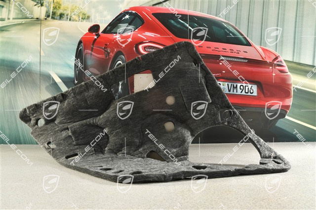 Dämpfung, Türverkleidung, Hinten, R