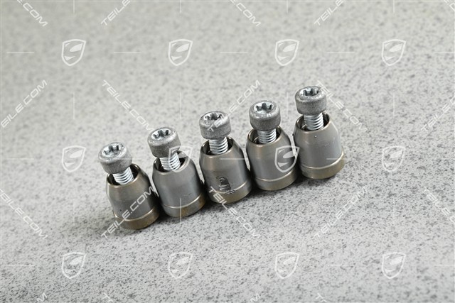 GT3 / GT3RS / GT2RS / Speedster, Brake Rotor Screw Set, central wheel lock