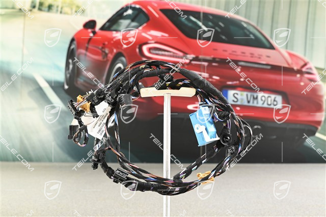 Kabelstrang Vordertür, soundpaket Burmester, R