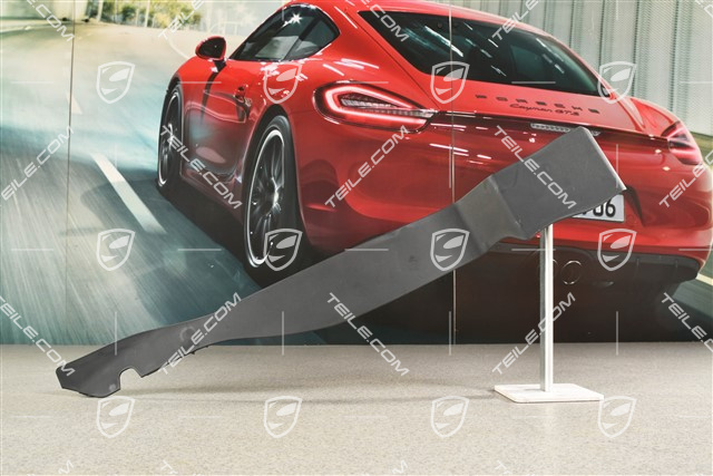 Targa, Scharnierabdeckung, Verdeckkastendeckel, R