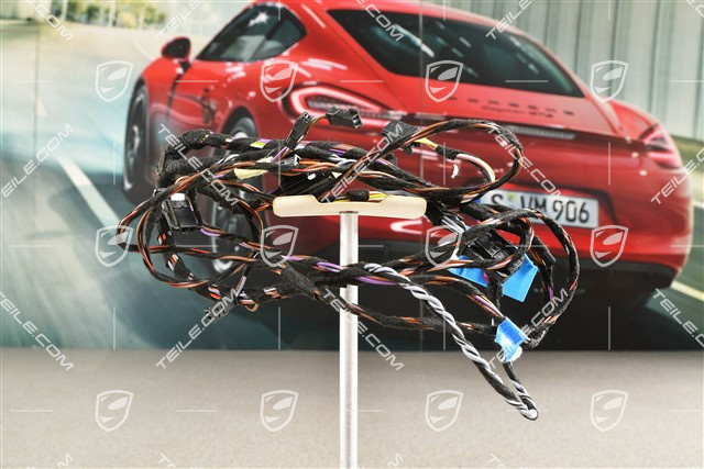 Kabelstrang / Kabelbaum, Beifahrertür, Burmester