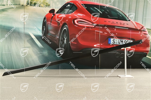 Vordertür Zierleiste, seitlich, Rallyschwarz, L