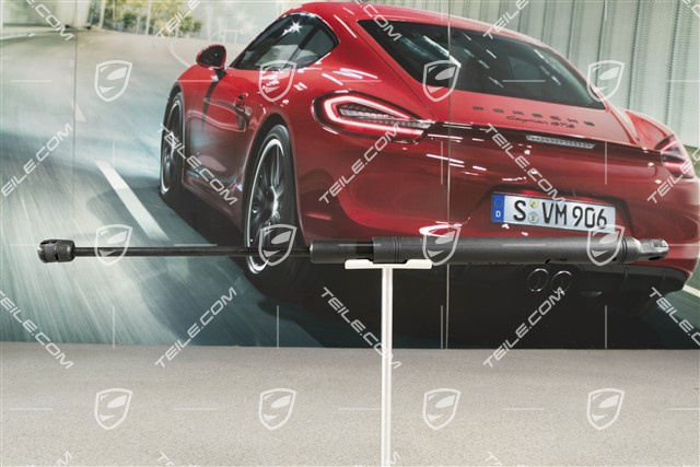 Gas-filled damper, R