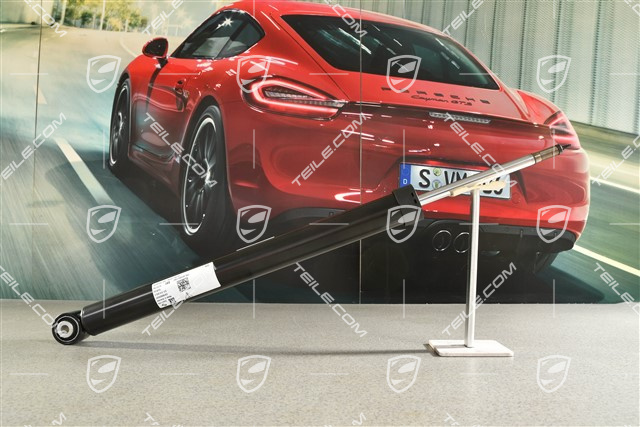 Stossdämpfer / Schwingungsdämpfer, Hinterachse, L=R