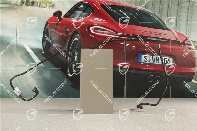 C4, C4S Fuel system vent line