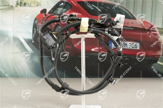 Leitungssatz, Tempomat Geschwindigkeitsregelung