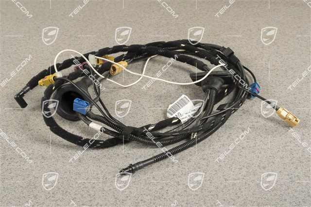 Wiązka instalacji elektrycznej, tył, 433,92MHz, R