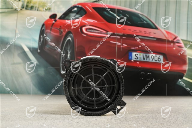 Loudspeaker, BOSE sound system, door, L=R