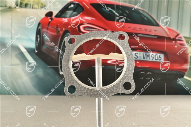 Turbo Exhaust system gasket
