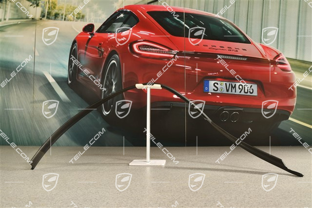 Targa, Abdichtleiste Tür, Aussen, R