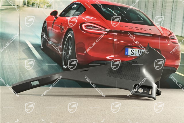 Verkleidung von D-Säule, Schwarz, L