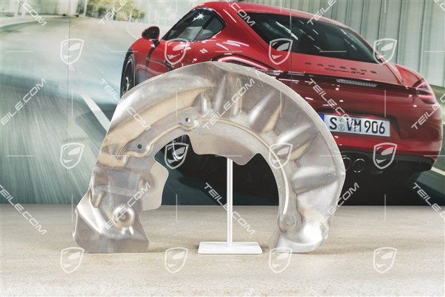 Tarcza kotwiczna / osłona tarczy hamulcowej przedniej, 18-19'', GTS, L